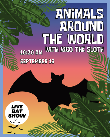Animals Around the World with Incredible Bats