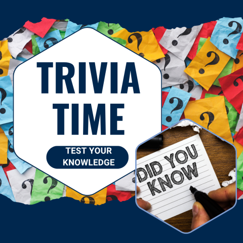 Trivia Time