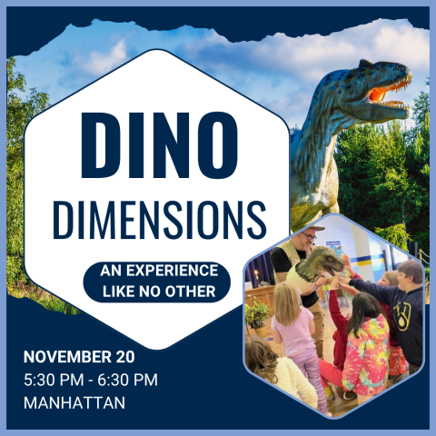 Dino Dimensions