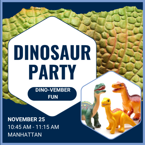 Dinosaur Party